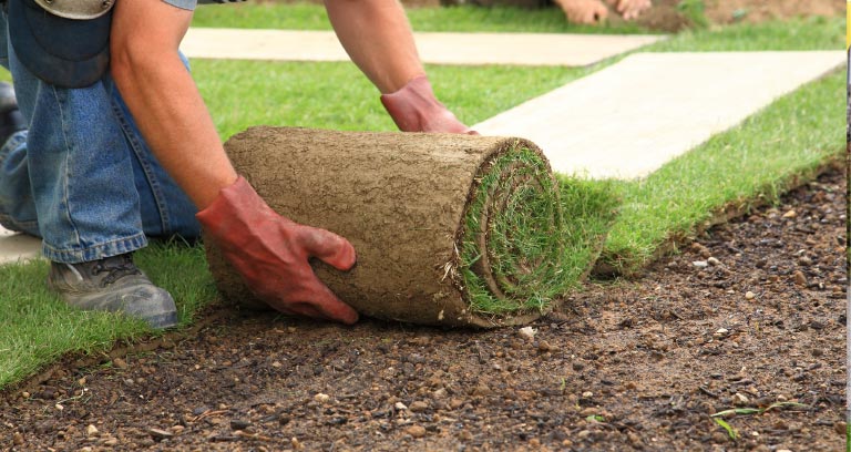 We can deliver your skip full