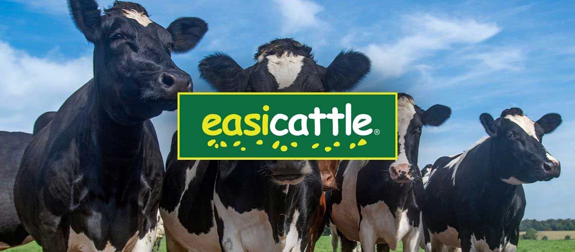 easicattle