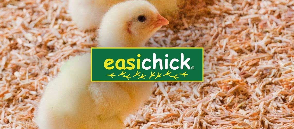 easichick