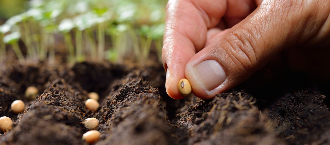 Acquisition Of Blue Sky Plastic Recycling