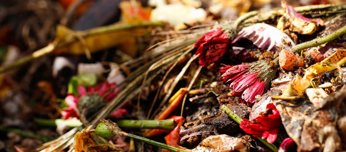 Top Tips for Reducing Household Waste