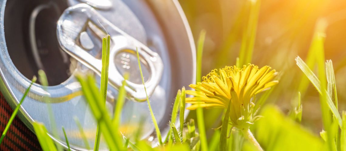 Scrap Metal Collection Services