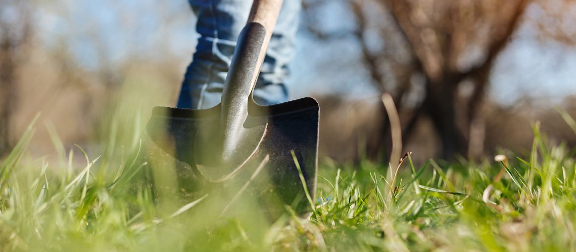 What you need to know about skip hire