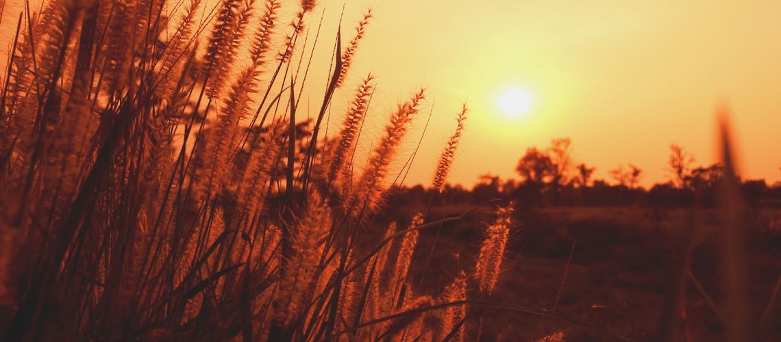 How to Ensure Safe Hazardous Farm Waste Management